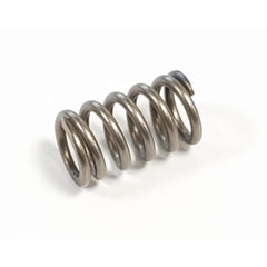 Santos Safety Spring Santos Safety Spring