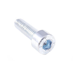 Screw Screw
