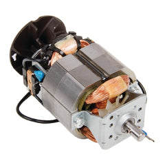 230v Motor