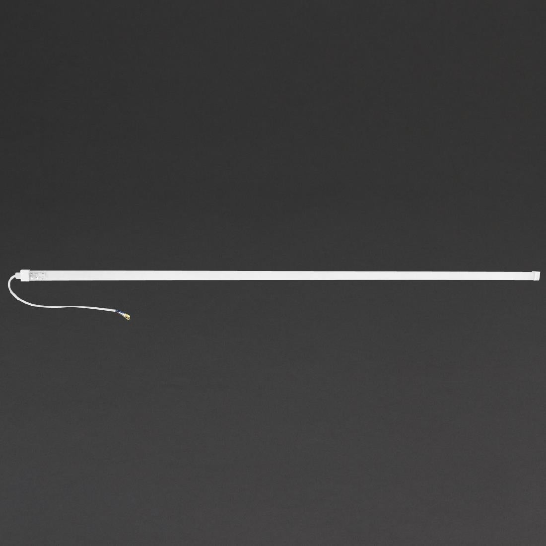 Polar LED Light