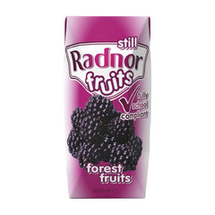 Radnor Fruits Still Tetra Pak® Forest Fruits 200ml (Pack of 24)