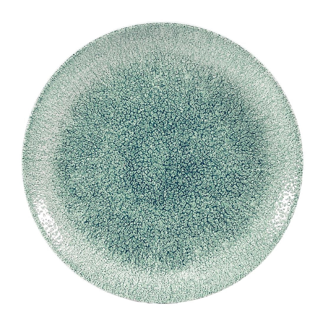 Churchill Studio Prints Raku Coupe Bowls Jade Green 248mm (Pack of 12)