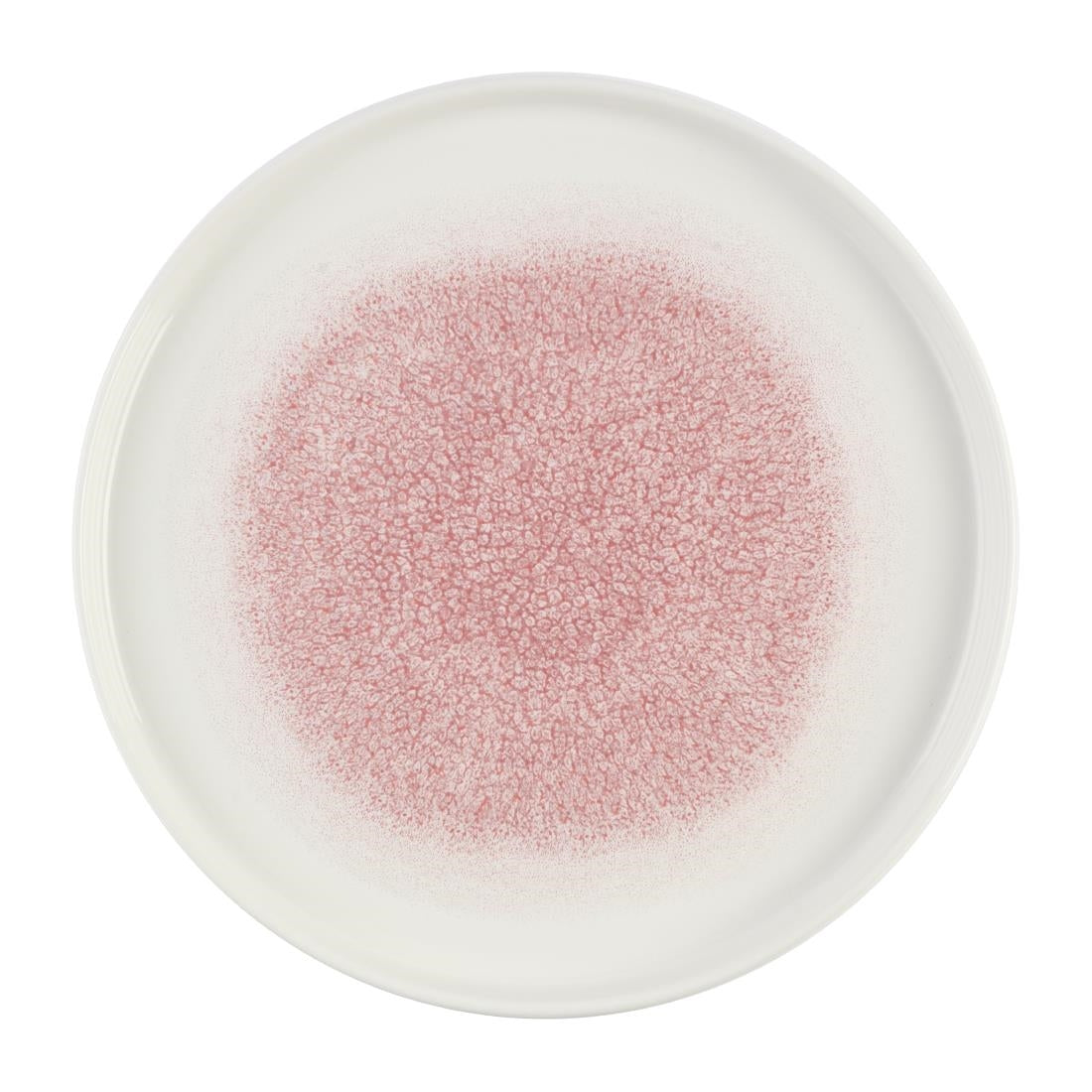 Churchill Studio Prints Raku Rose Quartz Pink Chefs' Walled Plate 260mm (Pack of 6)